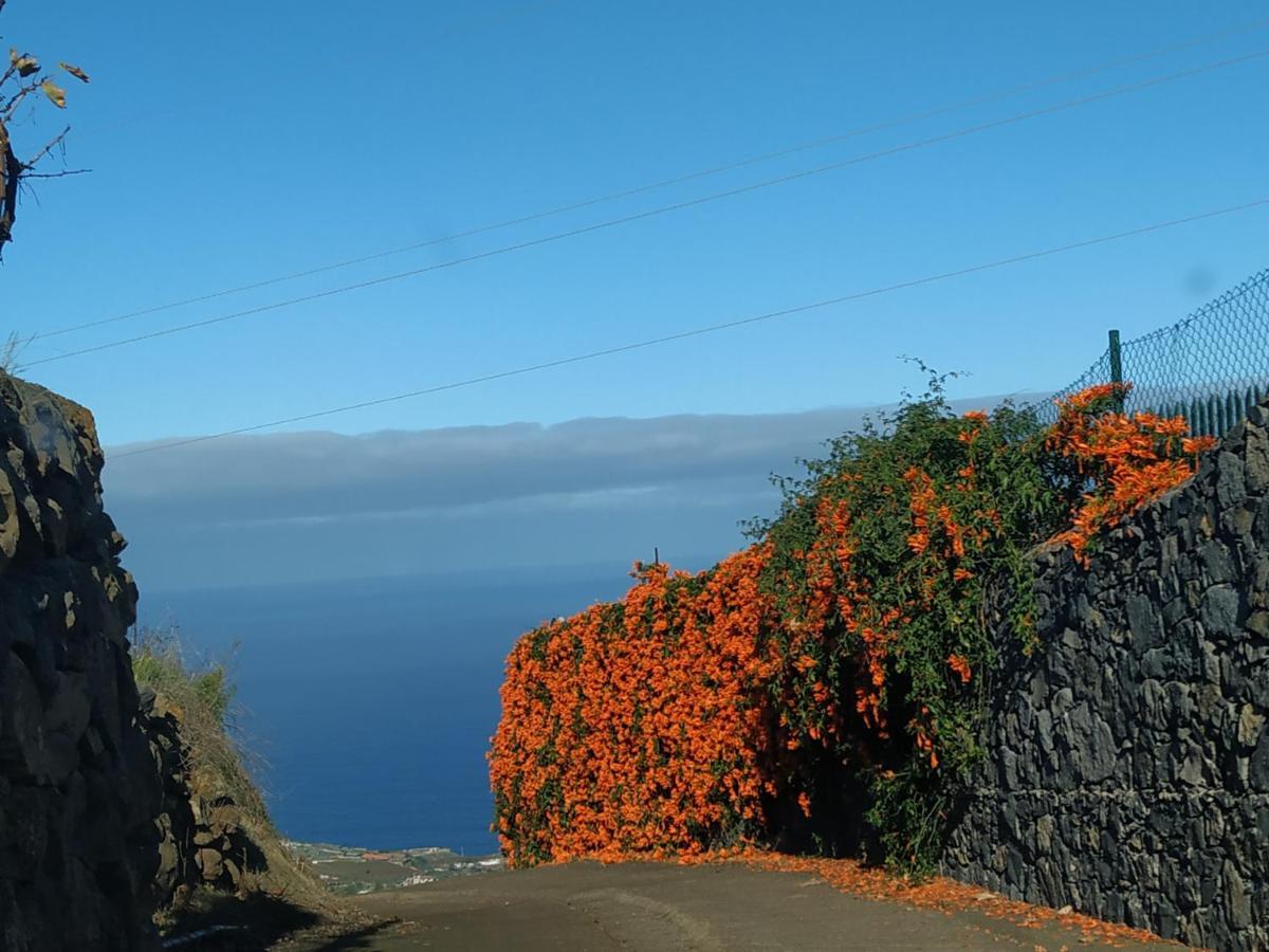 Finca Rural House Tenerife Relax And Enjoy Santa Úrsula Extérieur photo