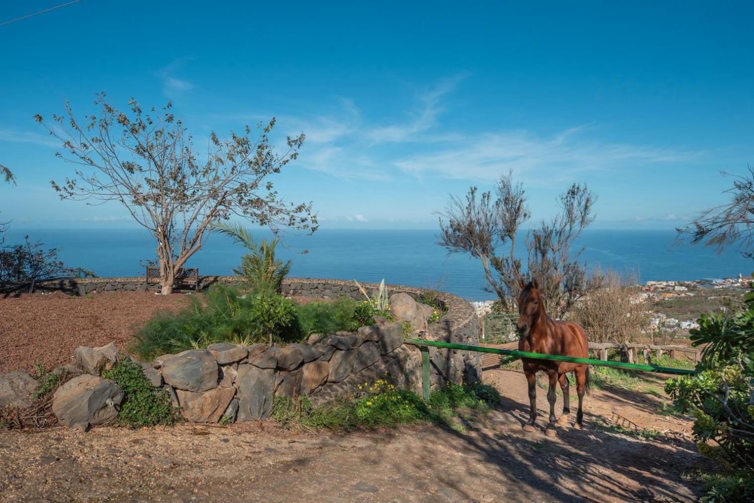 Finca Rural House Tenerife Relax And Enjoy Santa Úrsula Extérieur photo