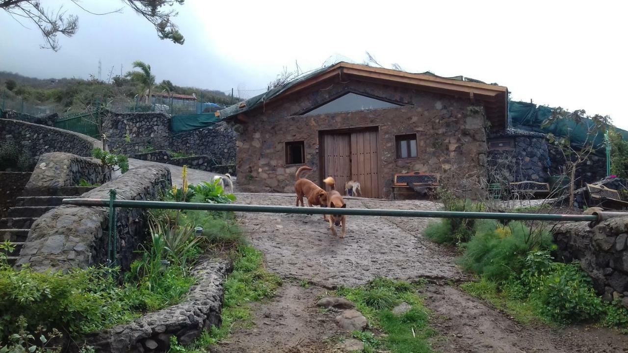 Finca Rural House Tenerife Relax And Enjoy Santa Úrsula Extérieur photo