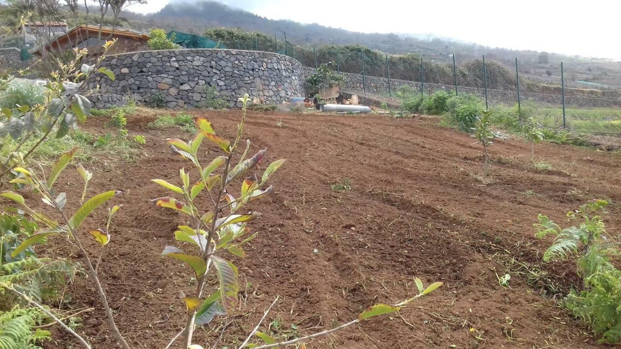 Finca Rural House Tenerife Relax And Enjoy Santa Úrsula Extérieur photo