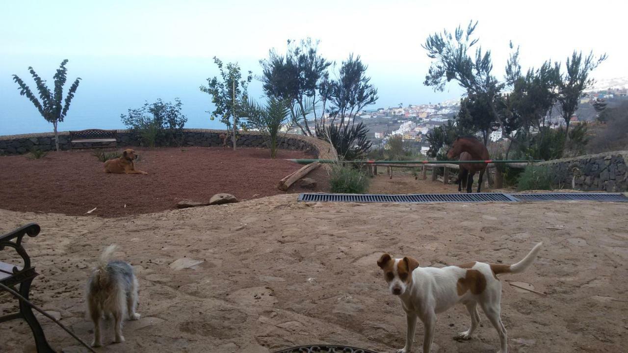 Finca Rural House Tenerife Relax And Enjoy Santa Úrsula Extérieur photo