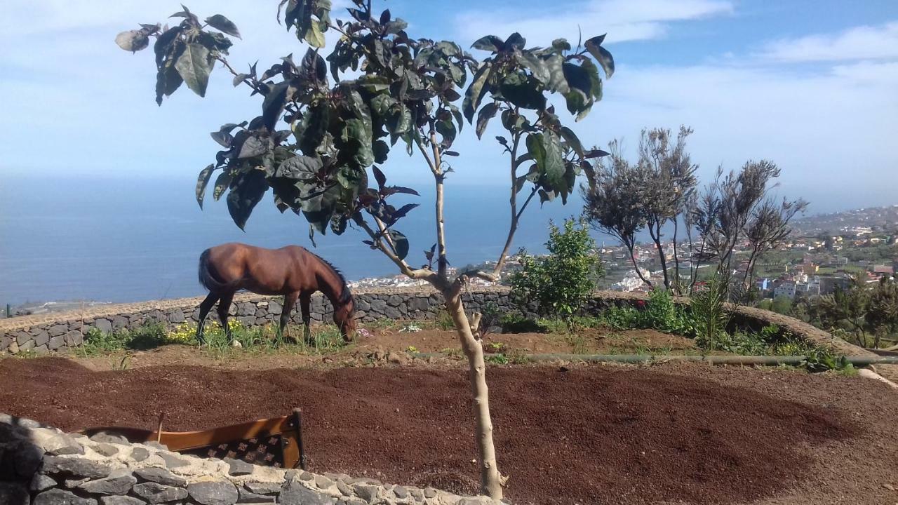 Finca Rural House Tenerife Relax And Enjoy Santa Úrsula Extérieur photo